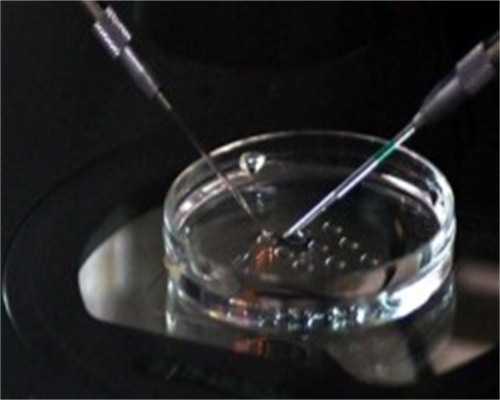 代生产子，怀孕八个月注意事项，孕期八个月的常见问题?