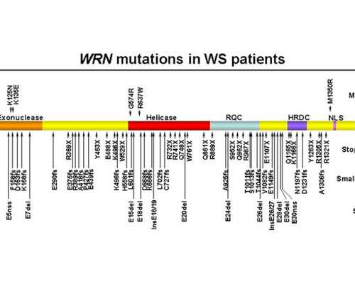 震惊！子宫内膜异位症发病率高达10%，女性该如何预防？